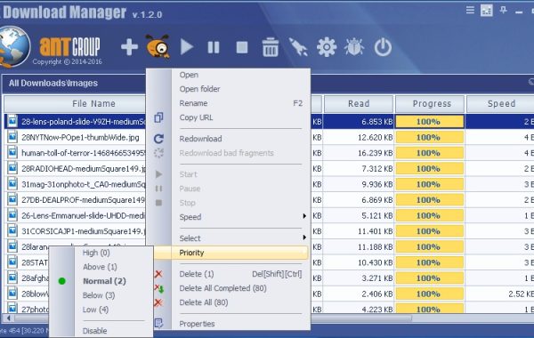 Ant Download Manager Pro 2.7.4 Build 82490 + Crack [Latest]
